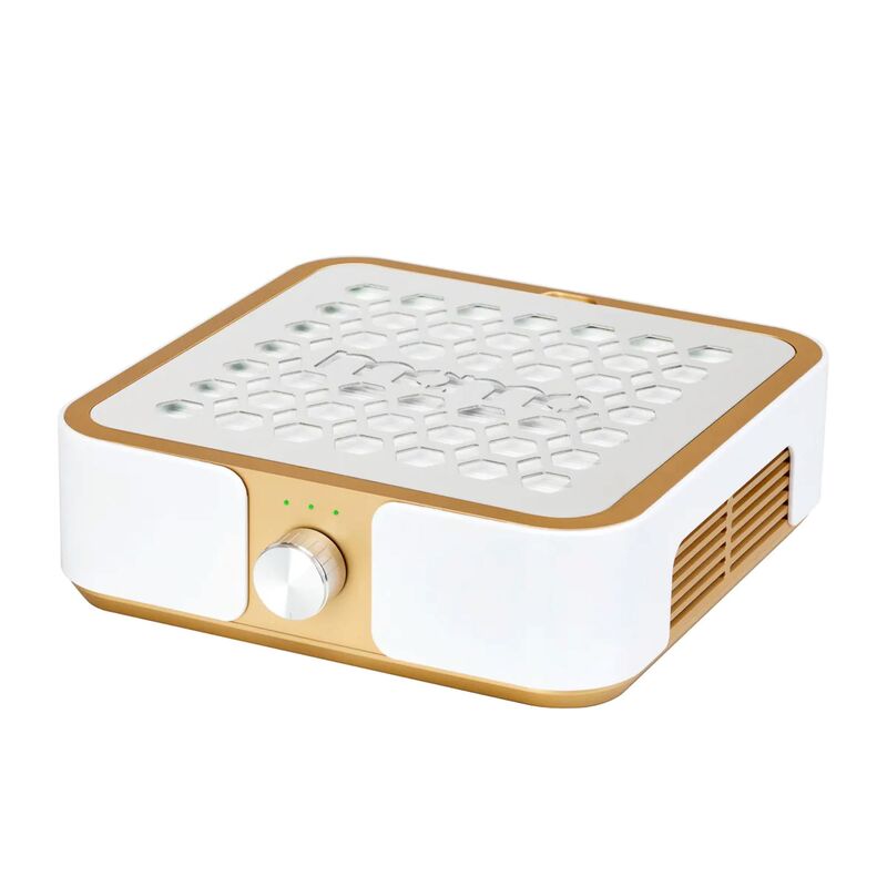 Odsavač prachu MOMO P30 white gold 60 W
