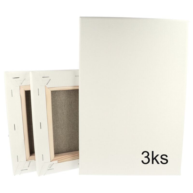 Sada 3 malířských pláten na rámu 20 x 30 cm 320 g/m2