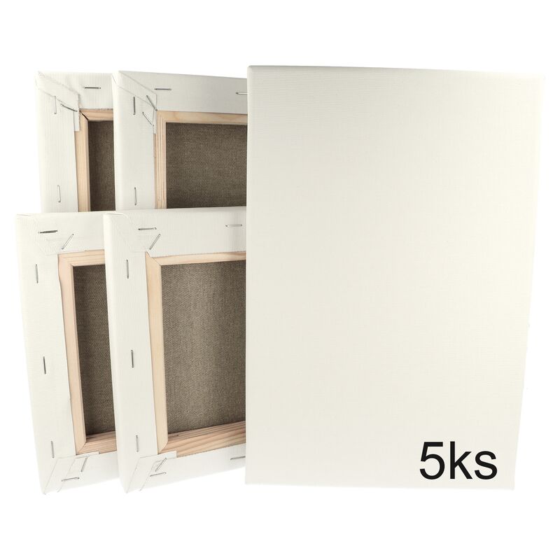 Sada 5 malířských pláten na rámu 20 x 30 cm 320 g/m2